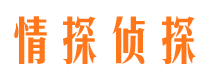 蓝山捉小三公司